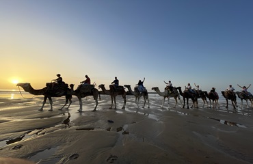 Camel ride